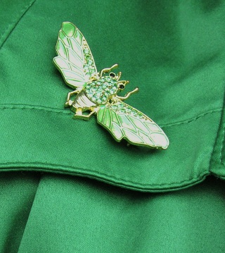 beetle brooch beetle brooch