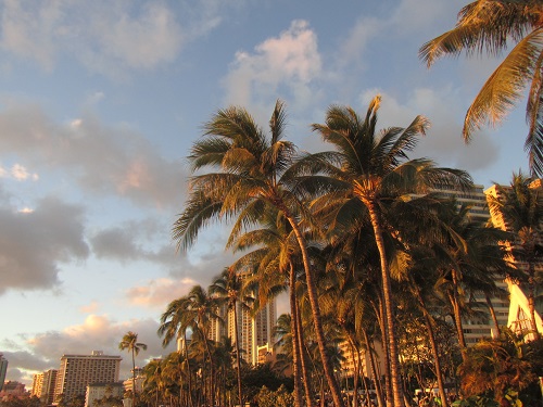 Evening in Waikiki