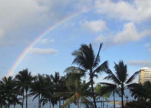 rainbow in Waikiki